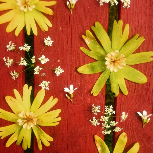 flower collage anna berger
